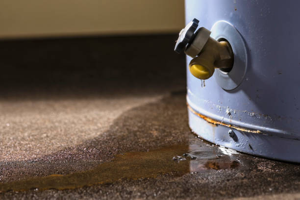 Best Water damage restoration experts  in Georgetown, PA