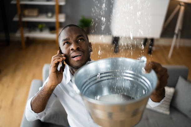 Best Flooded house restoration  in Georgetown, PA