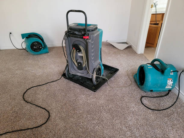 Best Emergency water extraction  in Georgetown, PA
