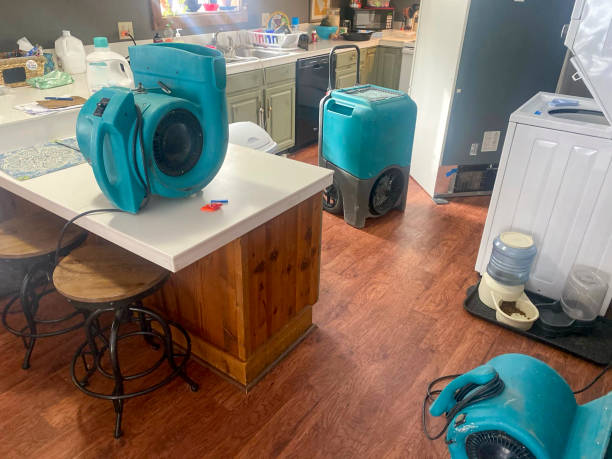 Best Flood damage cleanup  in Georgetown, PA