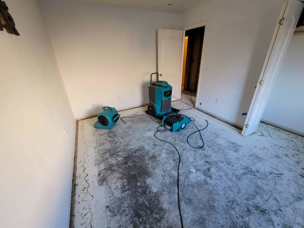 Best Flooded house restoration  in Georgetown, PA