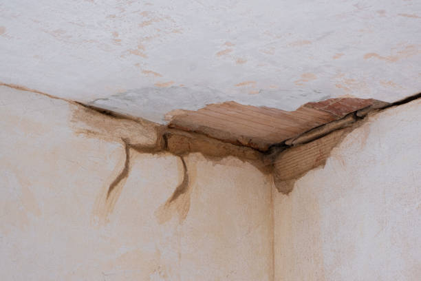 Best Flood restoration services  in Georgetown, PA