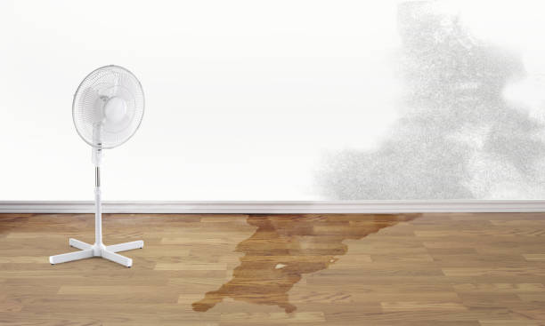 Best Professional water damage repair  in Georgetown, PA