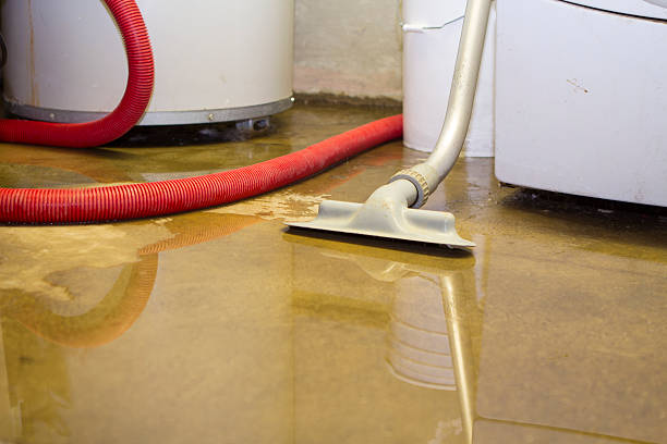Best Local water damage restoration  in Georgetown, PA