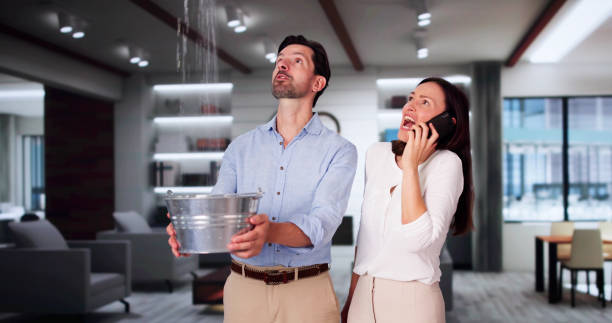 Best Basement water damage restoration  in Georgetown, PA